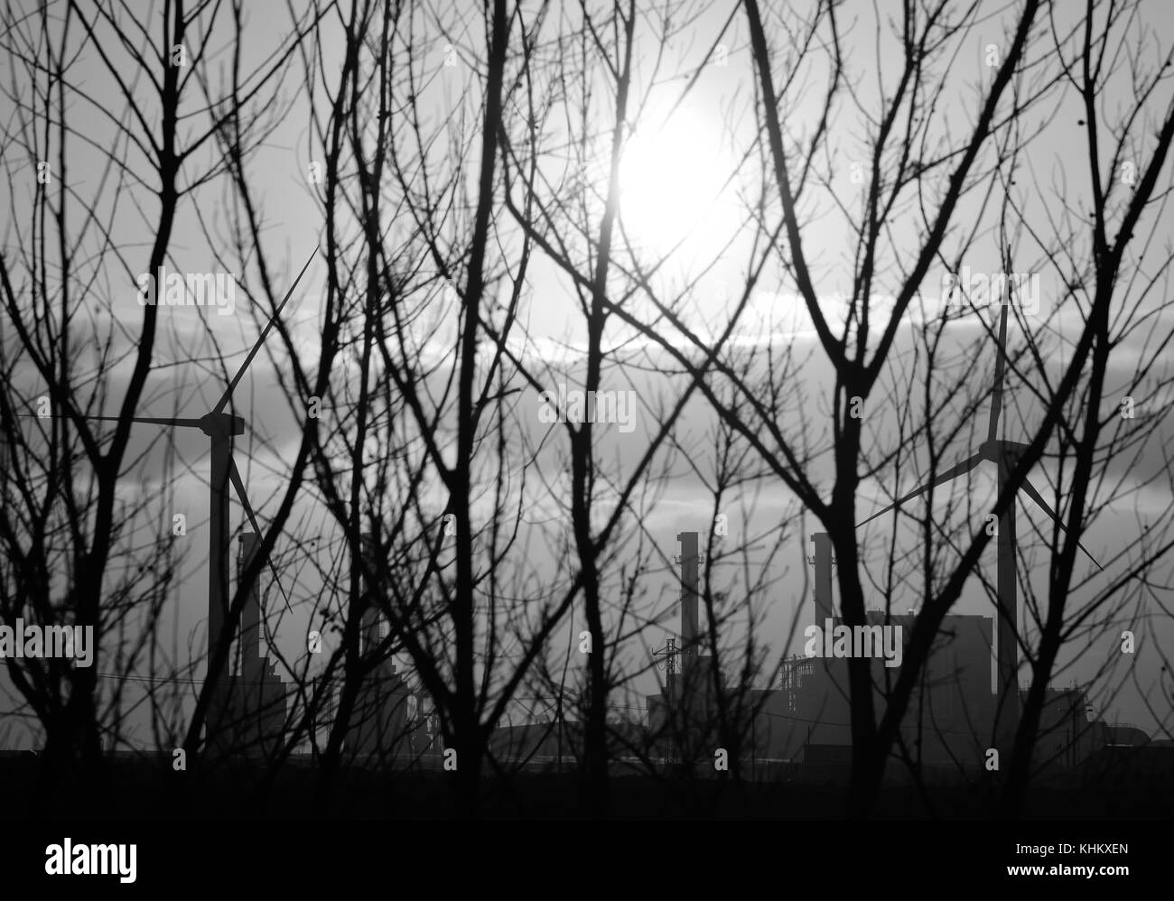Power plant behind the trees at sunrise, black and white Stock Photo