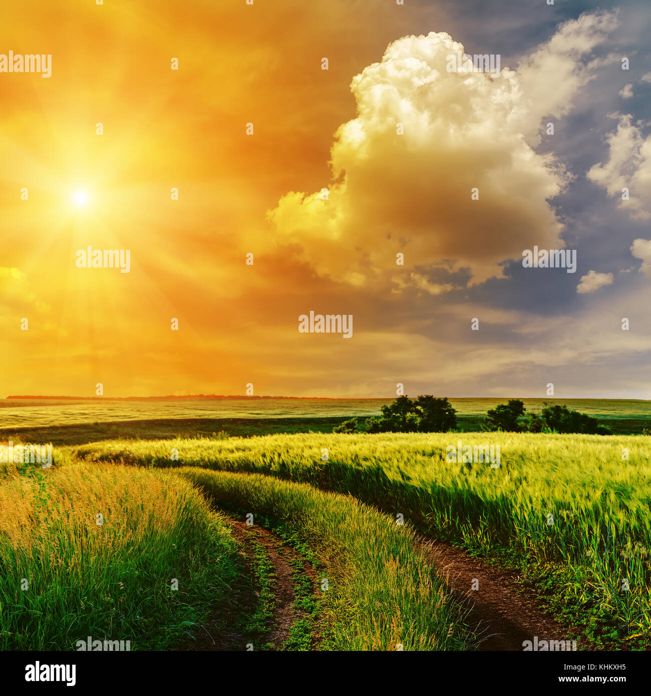 orange sunset in dramatic sky over road in green grass Stock Photo - Alamy