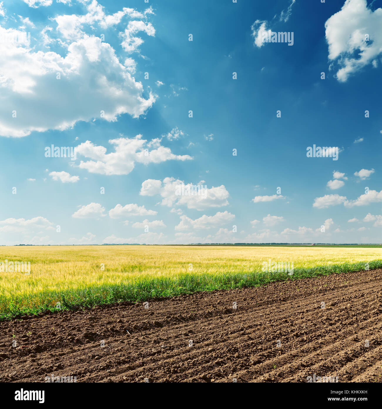 agricultural fields and deep blue sky with clouds Stock Photo - Alamy