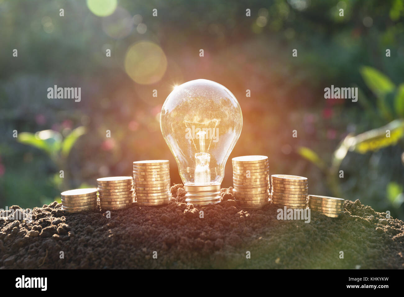 Energy saving light bulb and tree growing on stacks of coins on nature ...