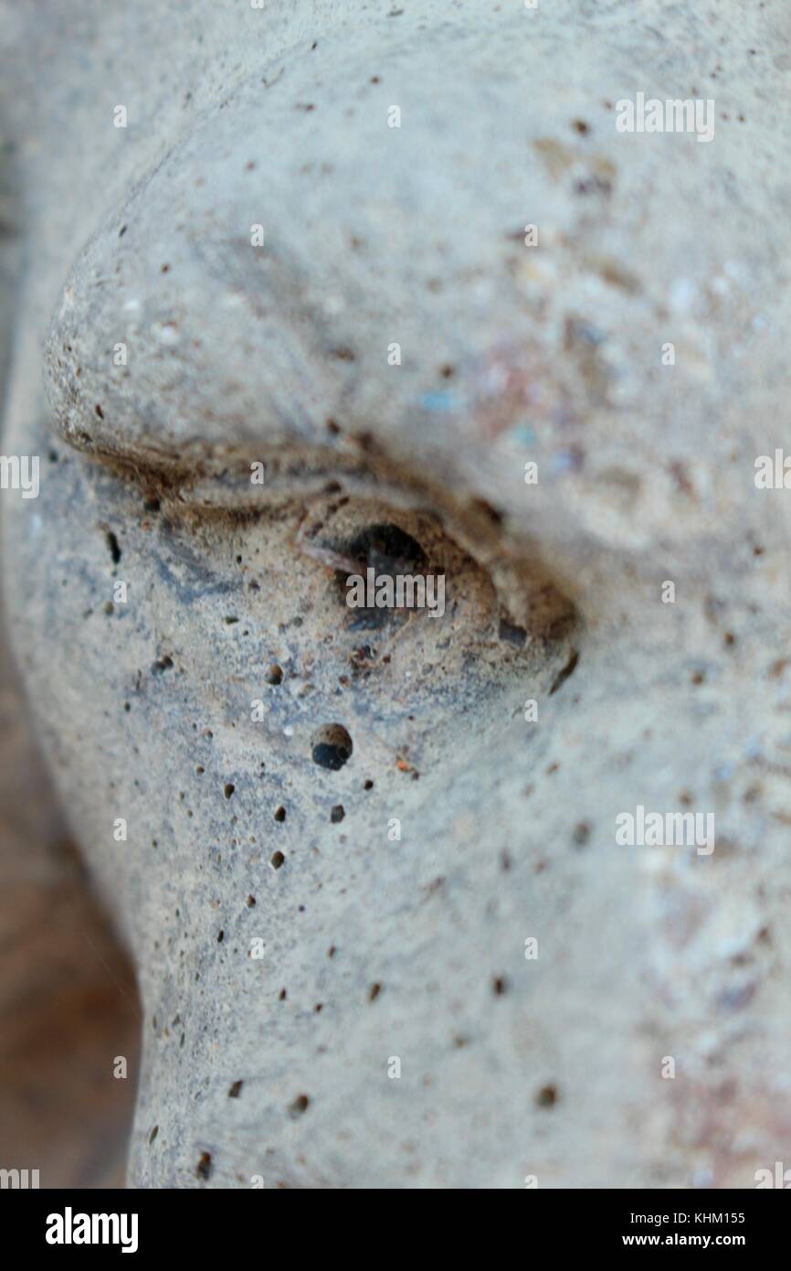 Close up of single eye of grey concrete garden lion, garden ornamaent, looking like a dragon's eye. Stock Photo