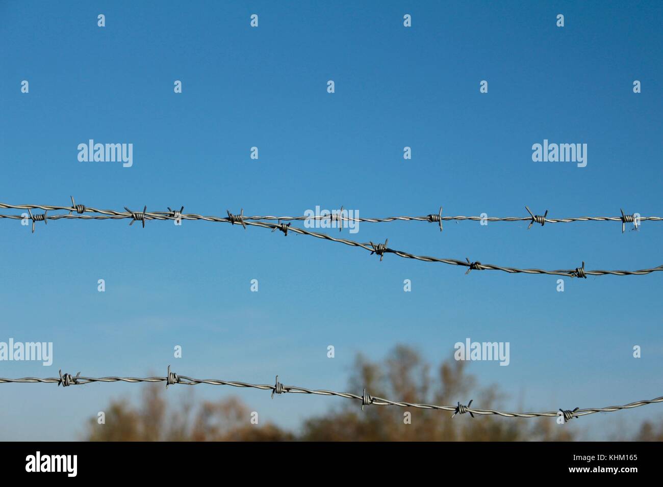 Three strands of barbed wire against blue sky with very top of trees at the bottom Stock Photo