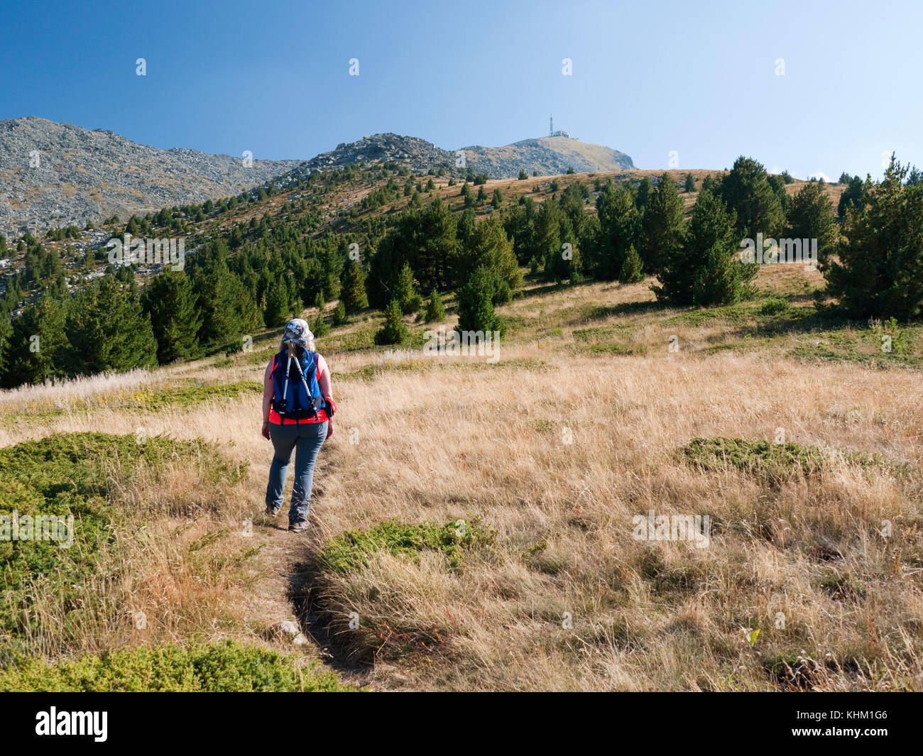 A hiker views the summit of Pelister (2601m), the highest peak of Baba Mountain, Pelister National Park, near Bitola, Republic of Macedonia Stock Photo