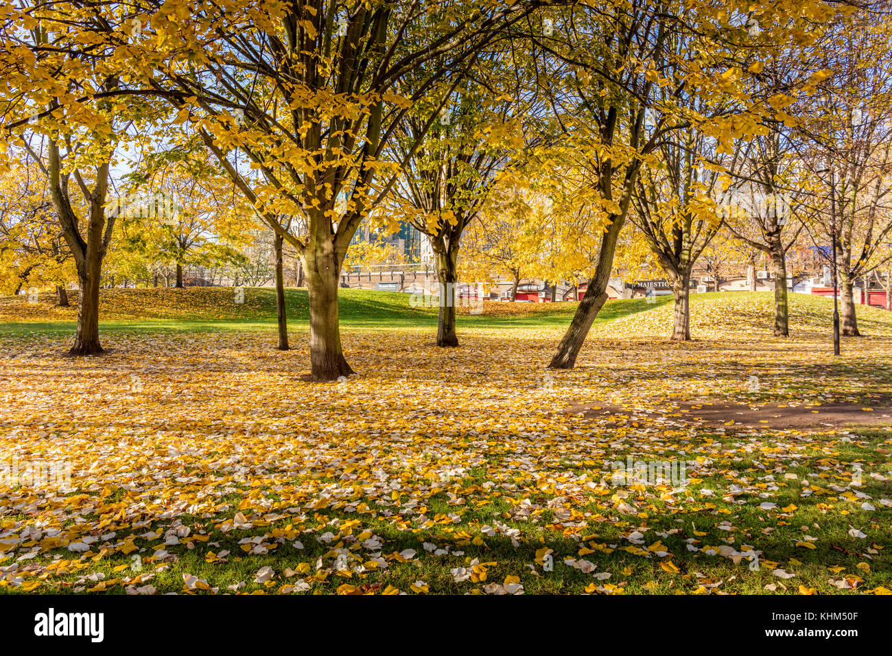 Trees in Vauxhall Pleasure Gardens in Autumn Stock Photo