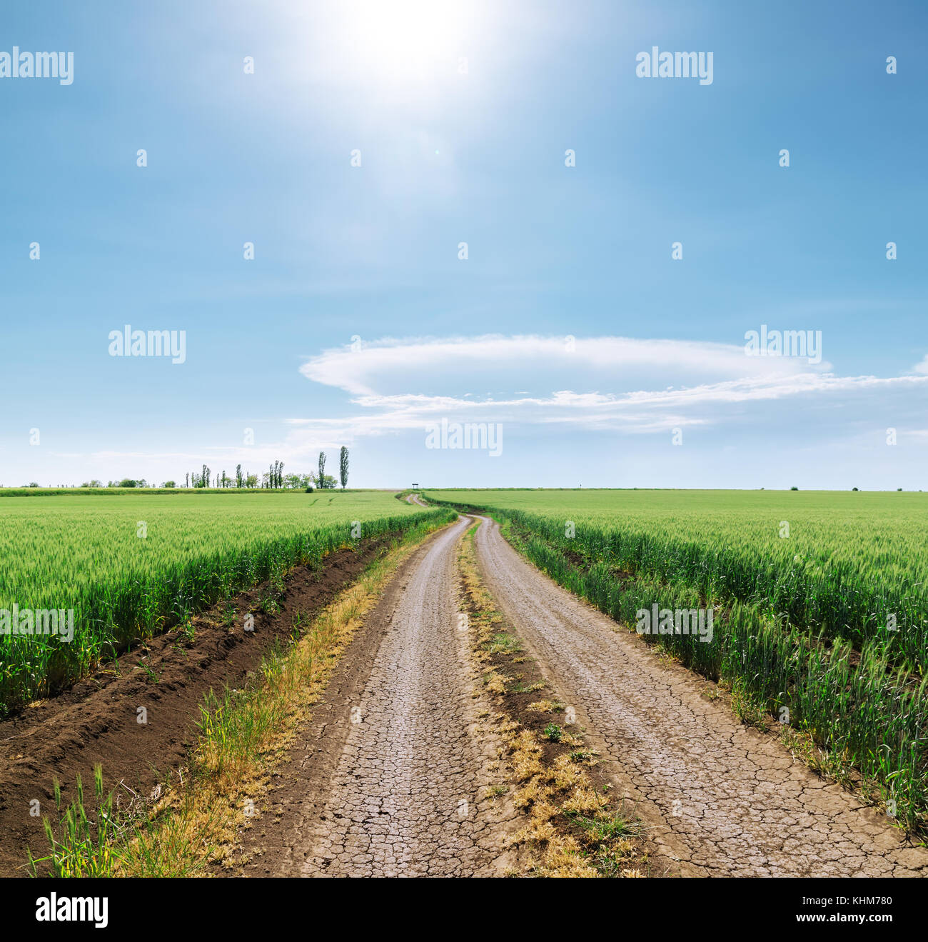 sun in blue sky over rural road in green fields Stock Photo - Alamy