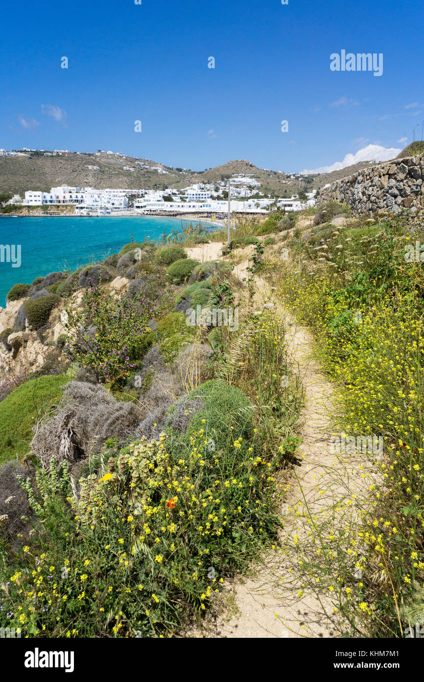 Trail at shore, Platis Gialos, south of island, Mykonos island, Cyclades, Aegean, Greece Stock Photo