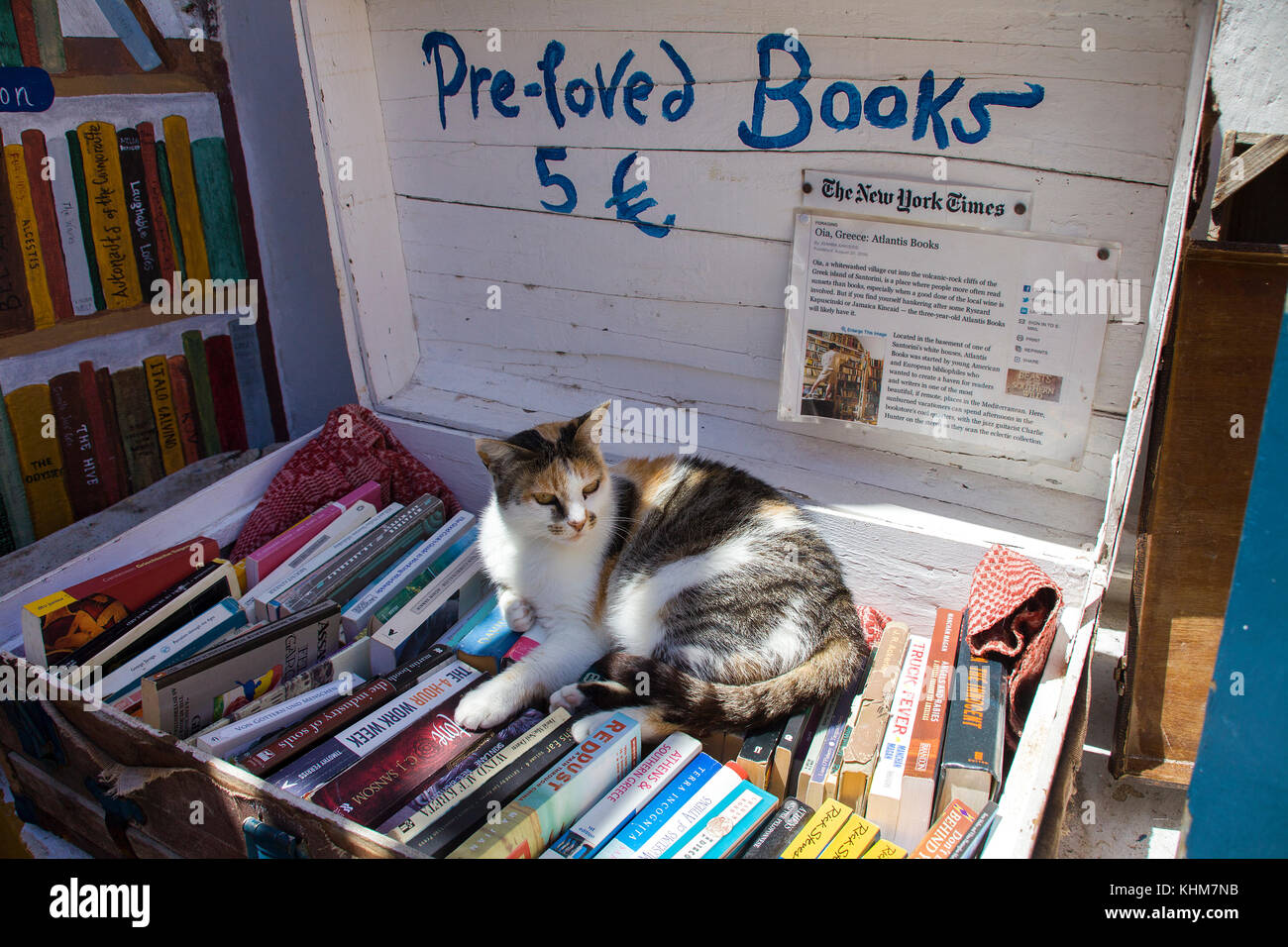 Cat lying on a suitcase full with books Oia, Santorin island, Cyclades, Aegean, Greece Stock Photo