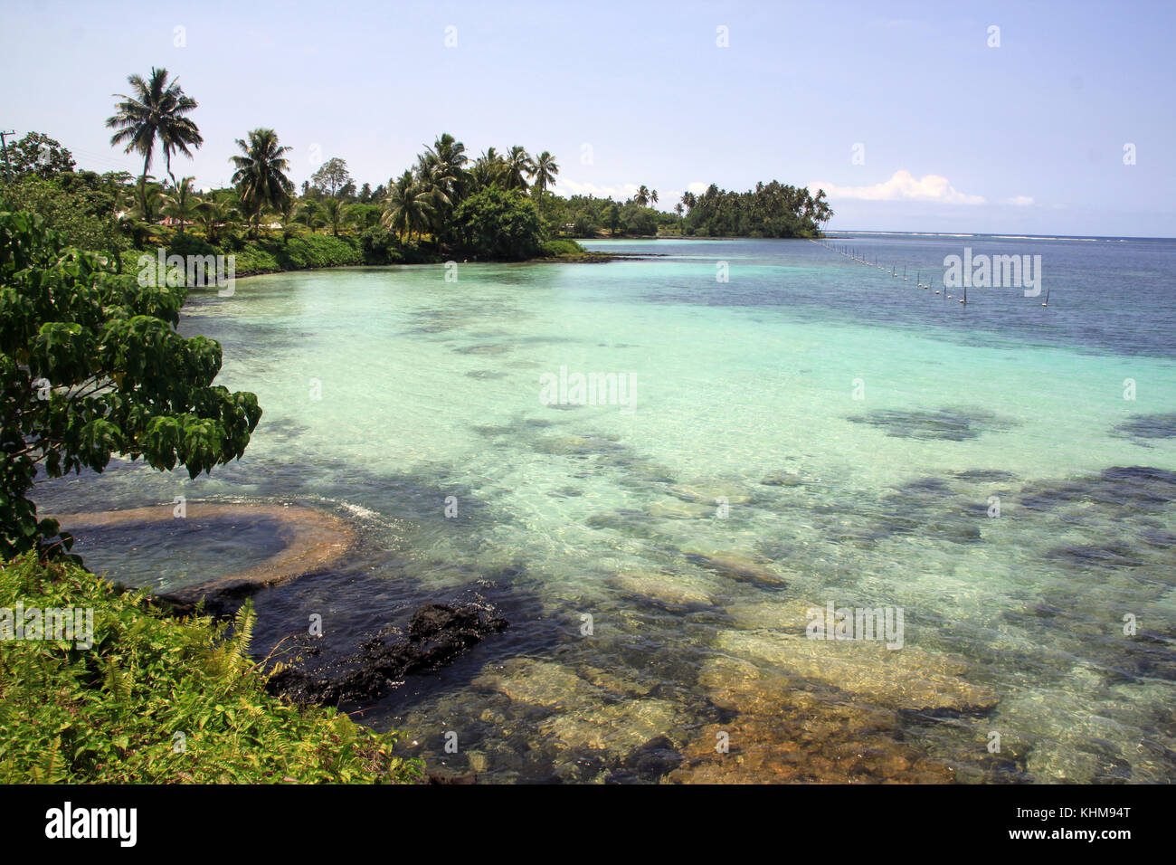 Trees and beach in Upolu island, Samoa Stock Photo - Alamy