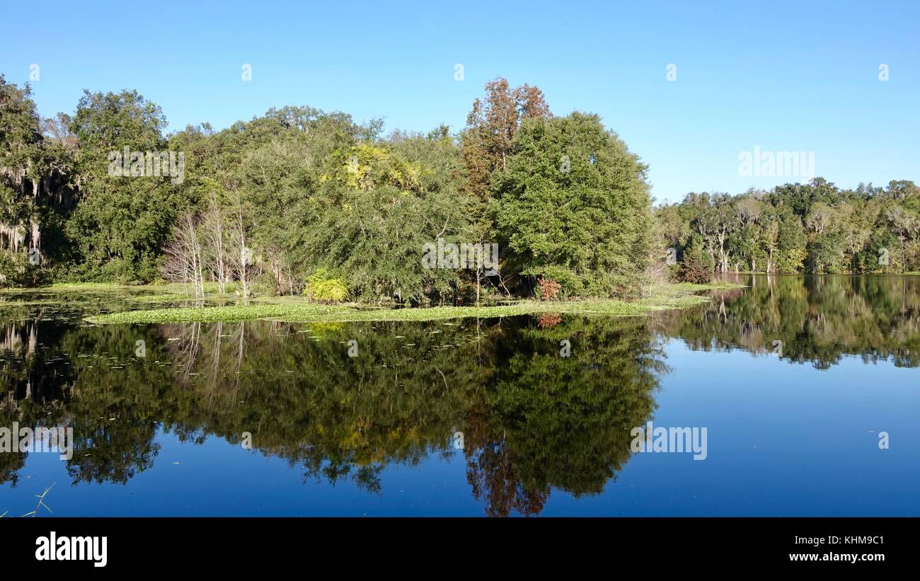 North Florida landscape, Alachua County, USA Stock Photo