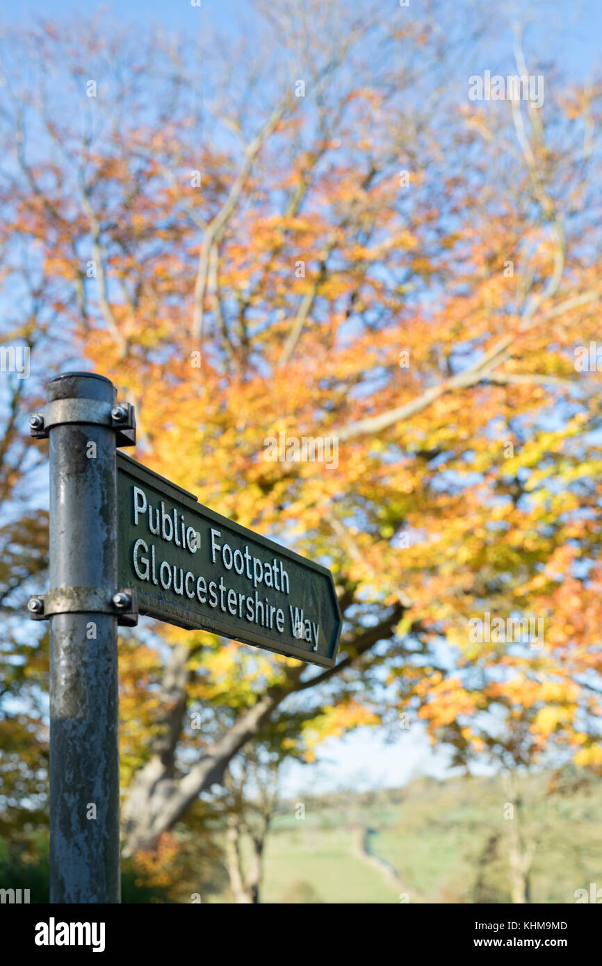 Gloucestershire way public footpath sign and colourful autumn beech trees. Cotswolds, Gloucestershire, England Stock Photo