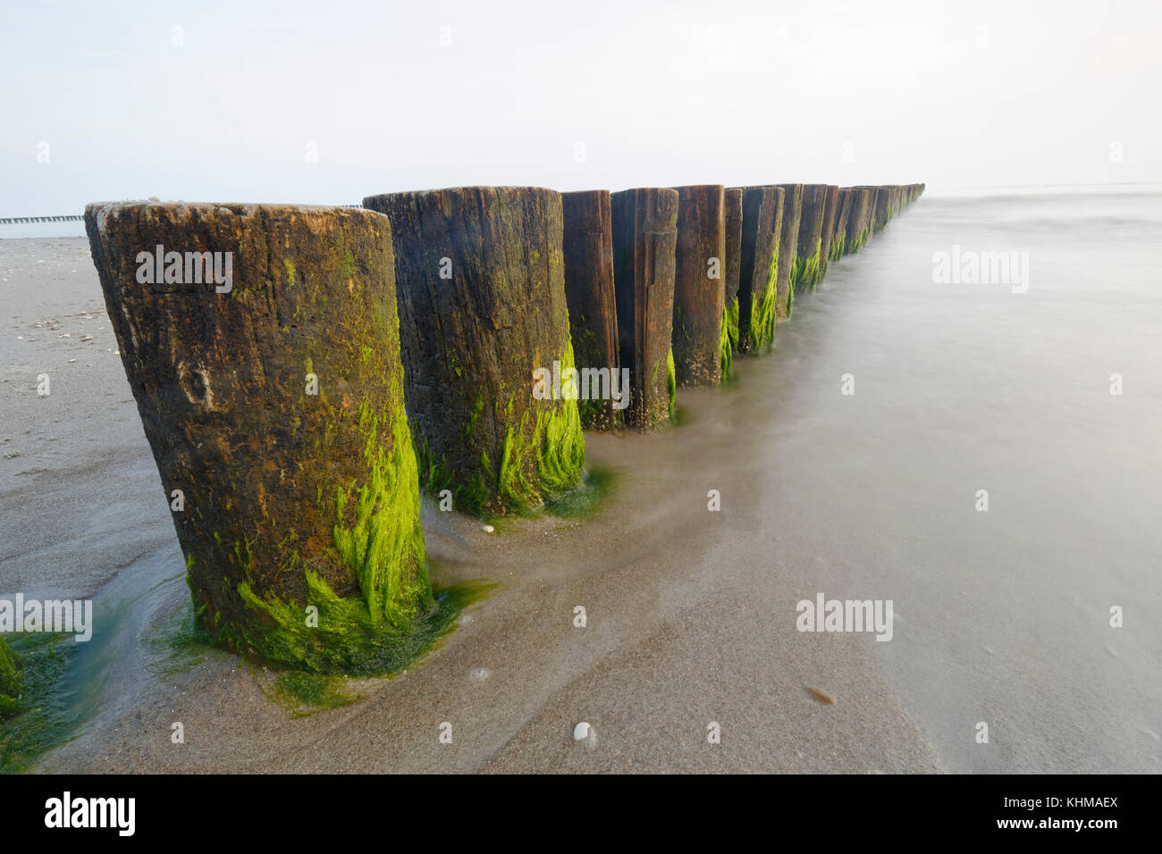 Groynes on the Baltic Coast, Mecklenburg-West Pomerania, Fishland-Darß-Zingst, Germany, Europe Stock Photo