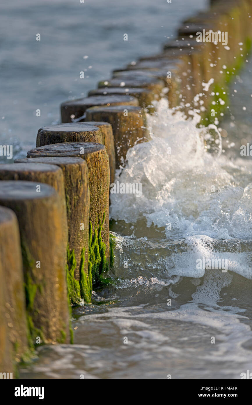 Groynes on the Baltic Coast, Mecklenburg-West Pomerania, Fishland-Darß-Zingst, Germany, Europe Stock Photo