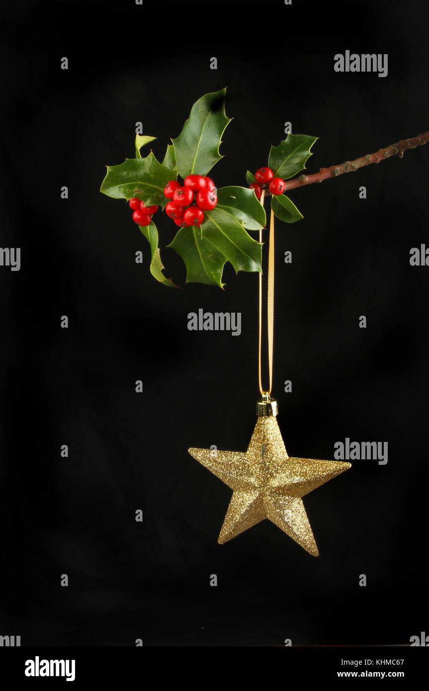 Gold Christmas star hanging from a holly branch with ripe red berries ...