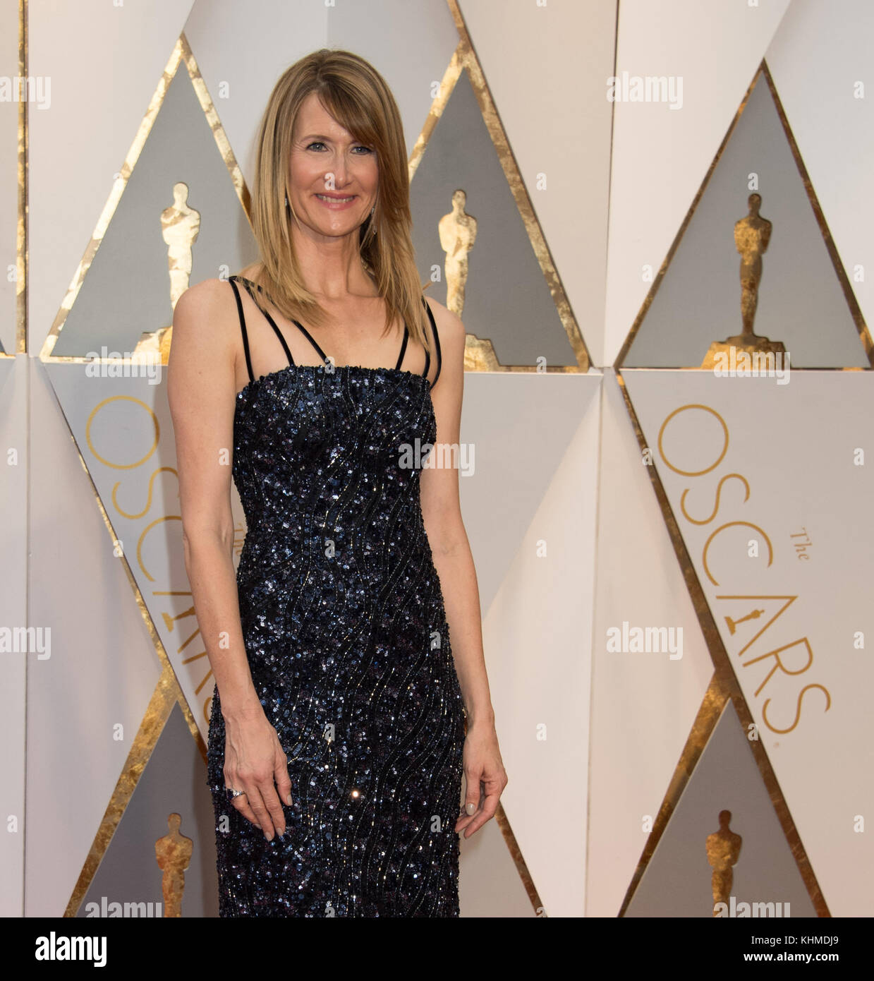 HOLLYWOOD, CA - FEBRUARY 26: Laura Dern attends the 89th Annual Academy Awards at Hollywood & Highland Center on February 26, 2017 in Hollywood, California  People:  Laura Dern  Transmission Ref:  MNC Stock Photo