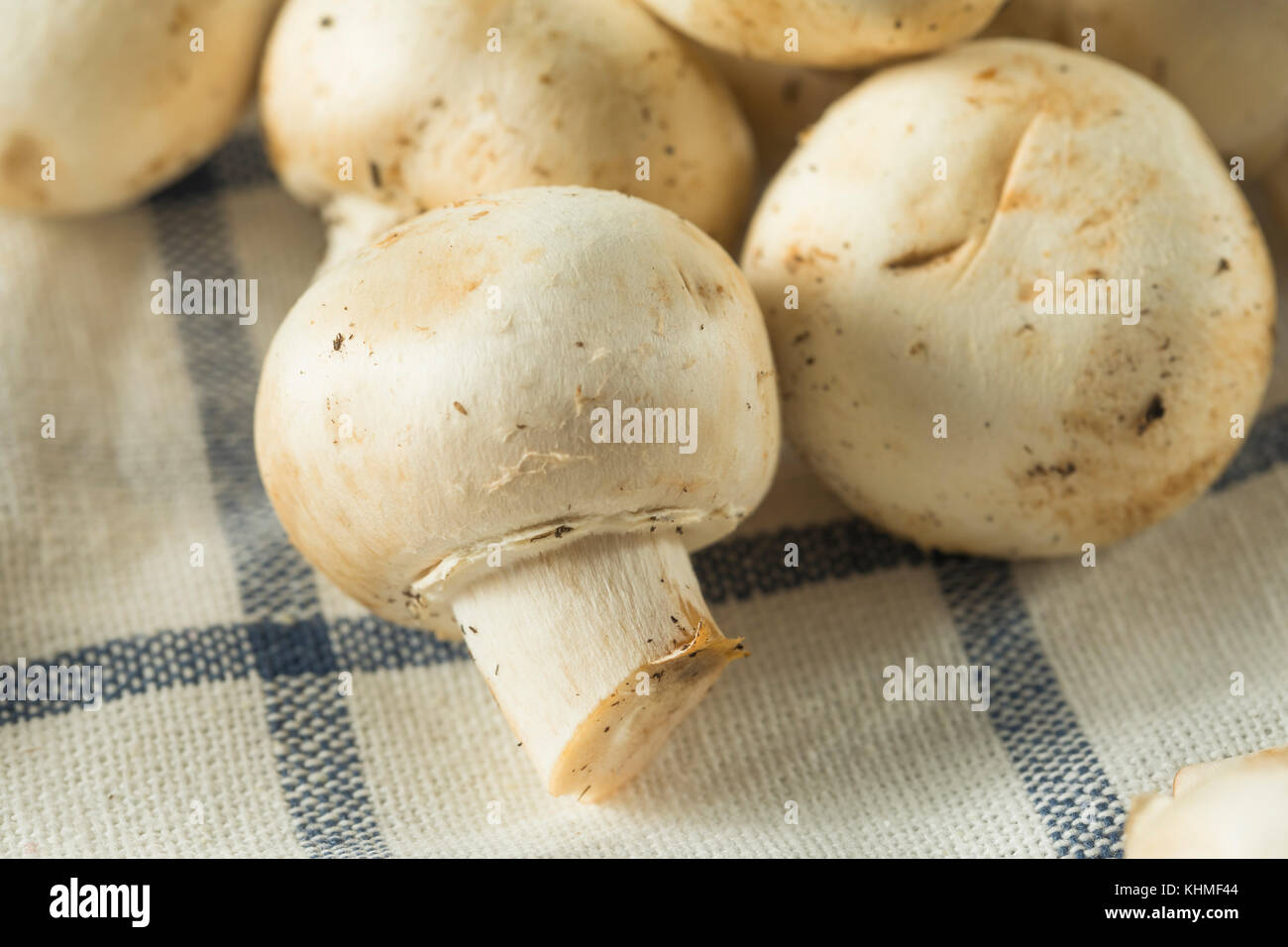 Raw White Organic Baby Button Mushrooms Ready to Cook Stock Photo Alamy