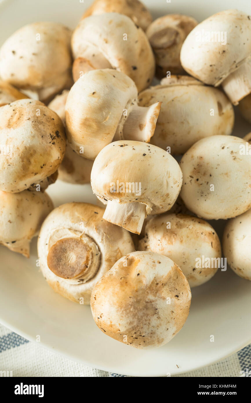Raw White Organic Baby Button Mushrooms Ready to Cook Stock Photo Alamy