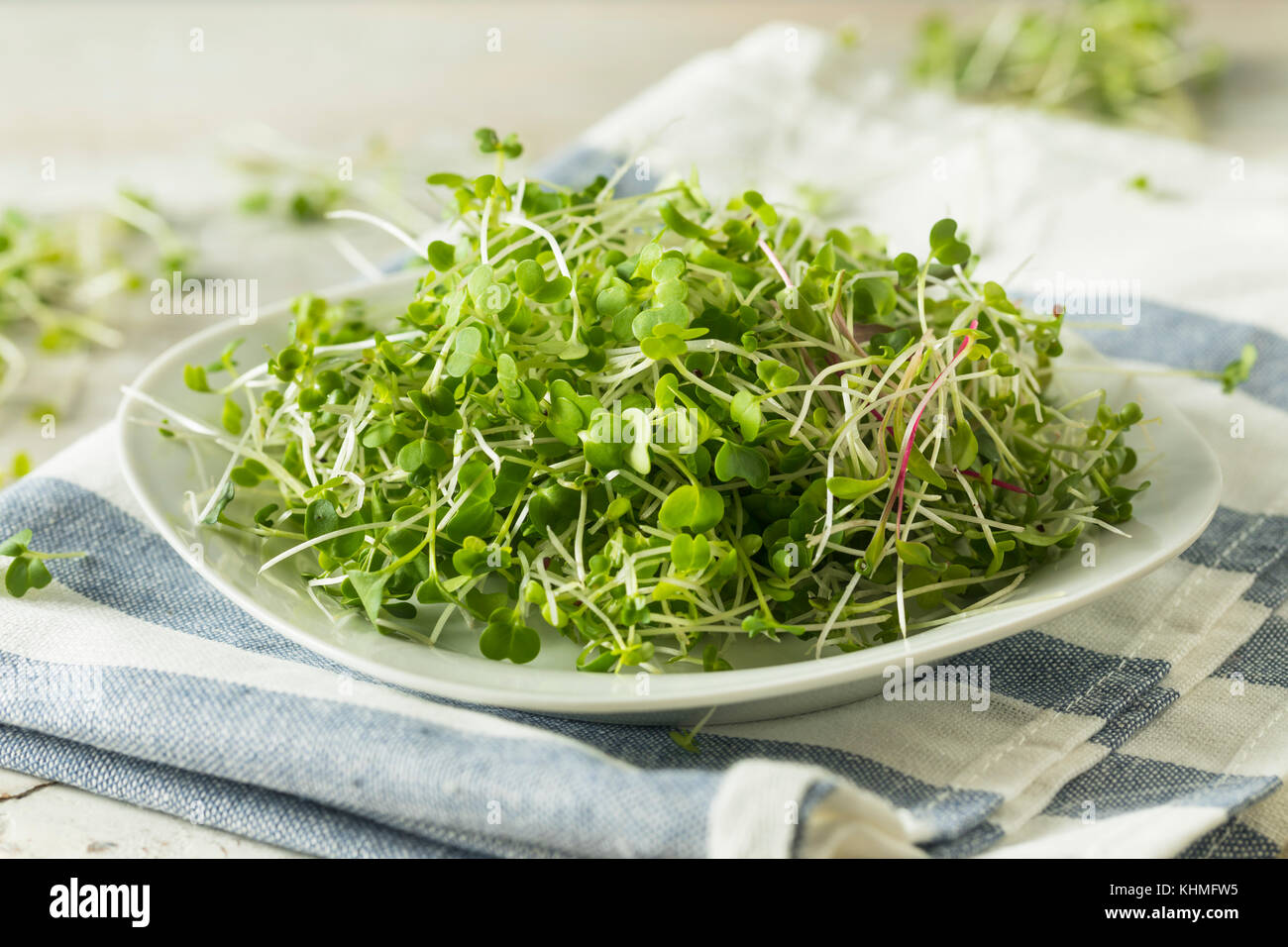 Healthy Raw Organic Microgreens Ready to Use Stock Photo - Alamy