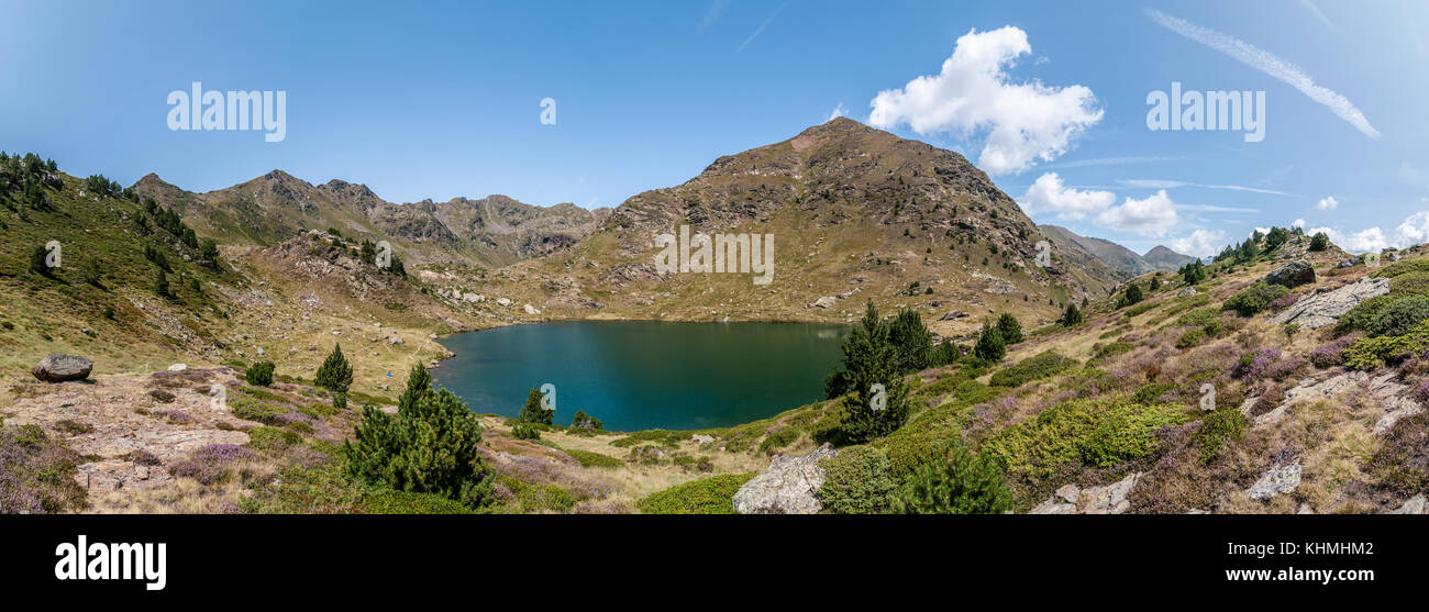 panoramic view of high mountain lake called 'Estany primer' near Ordino with some mountain pine, Tristaina, Andorra Stock Photo