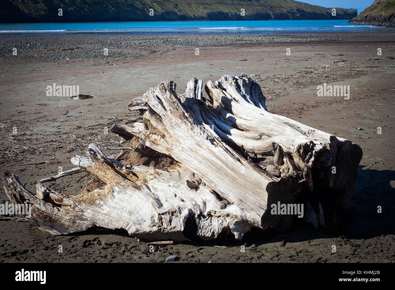 Sights along the beach in a secluded Bay, South Island, New Zealand