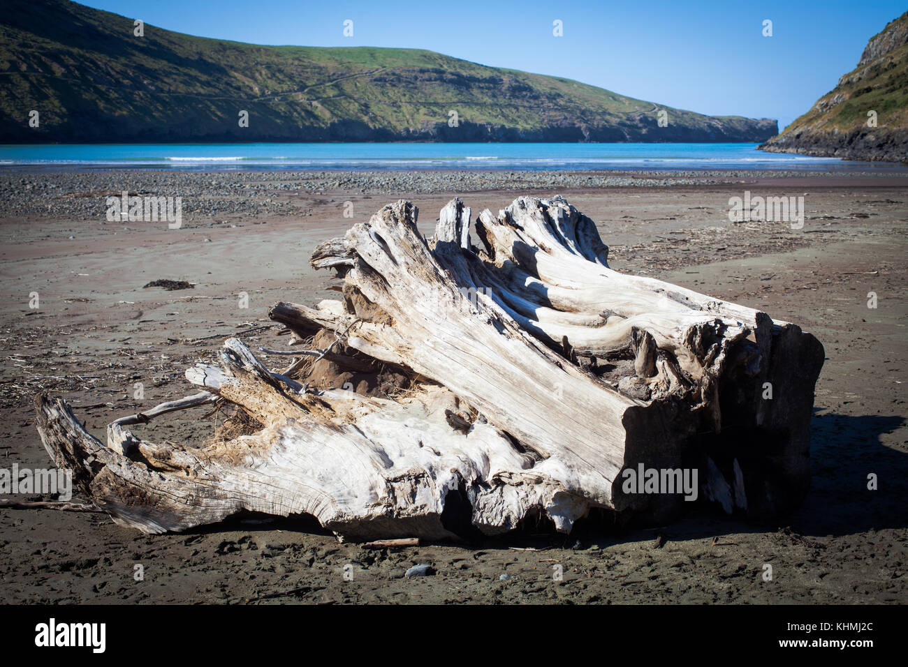 Sights along the beach in a secluded Bay, South Island, New Zealand