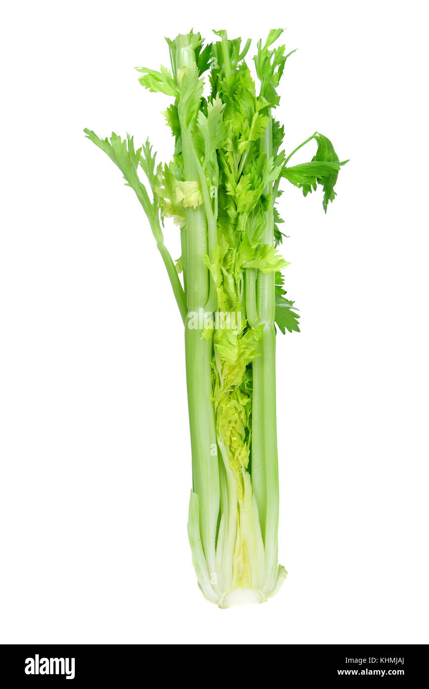 Celery on White Background Stock Photo