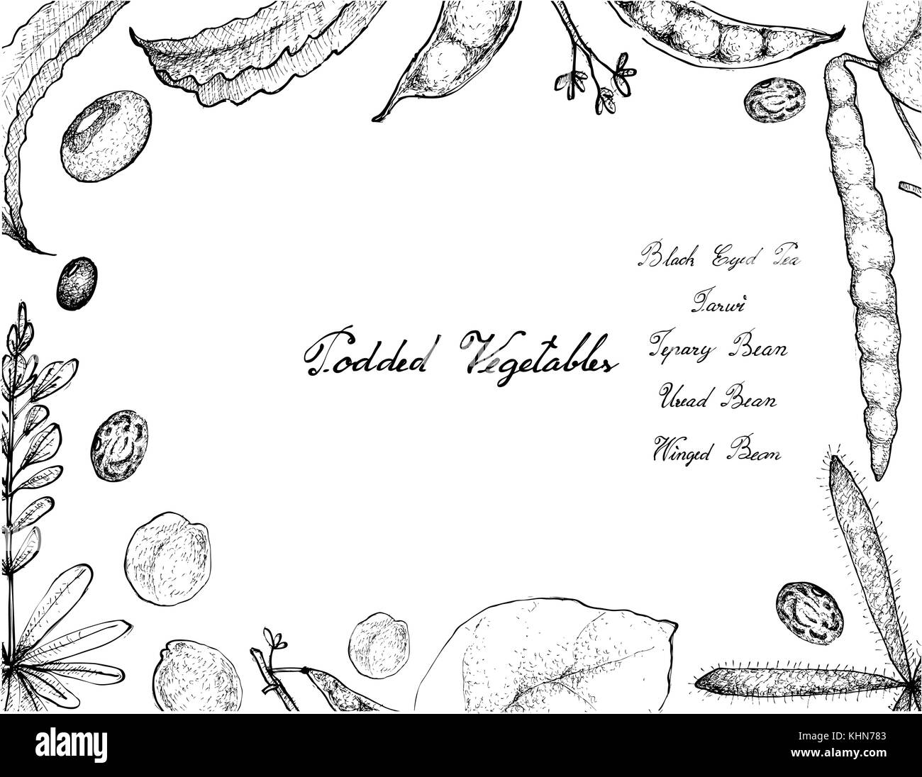 Vegetable, Illustration Frame of Hand Drawn Sketch Fresh Podded Vegetables Isolated on White Background. Stock Vector