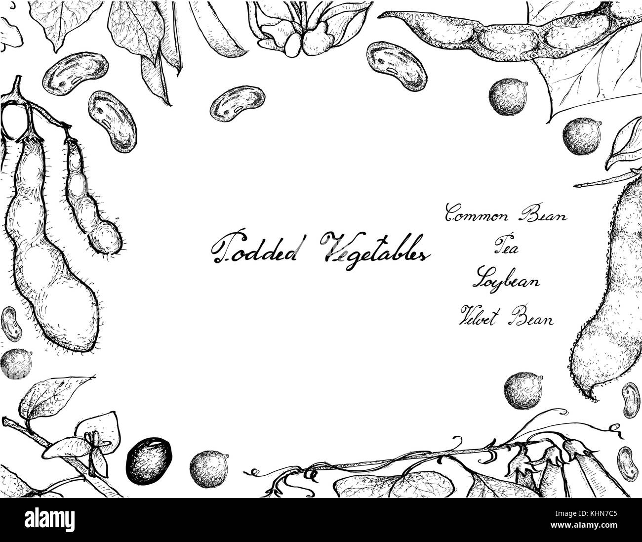 Vegetable, Illustration Frame of Hand Drawn Sketch Fresh Podded Vegetables Isolated on White Background. Stock Vector