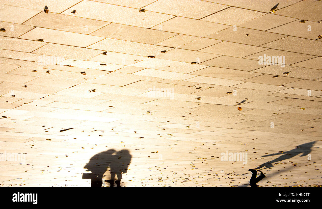 Shadow silhouette of a people on patterned city square with fallen autumn leaves sepia black and white upside down Stock Photo