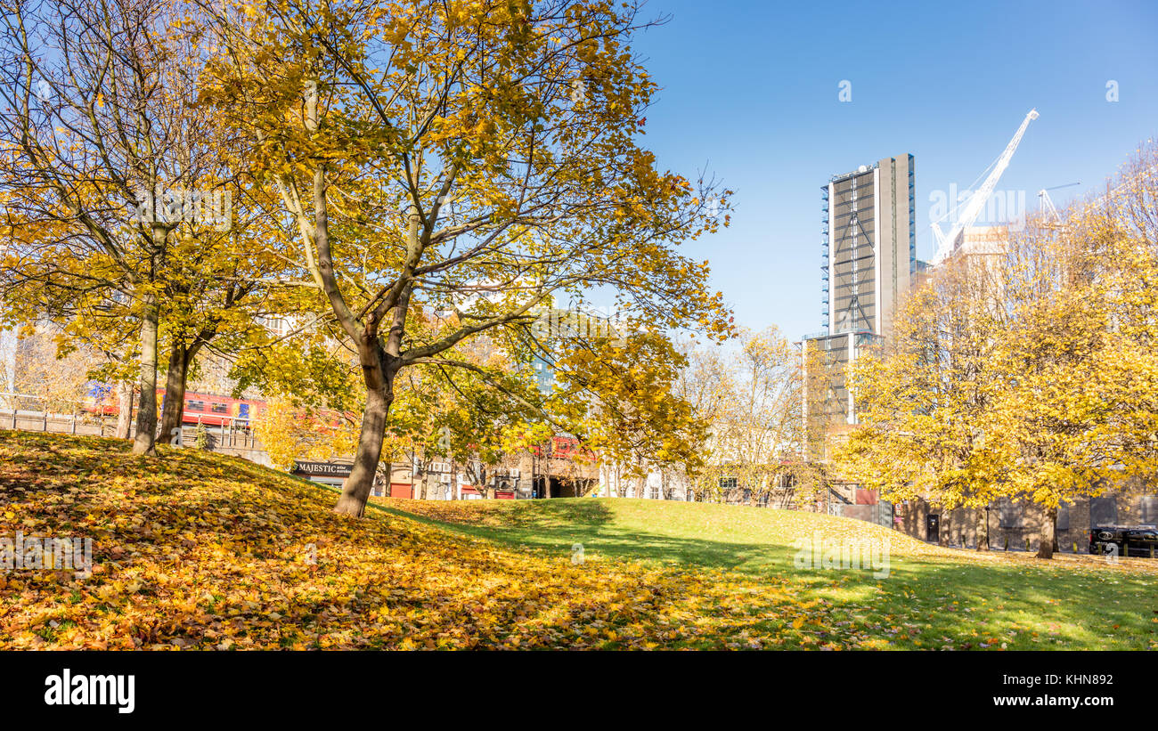 Vauxhall, London; 17th November 2017; Vauxhall Pleasure Gardens, Autumn.  Yellow and brown leaves on trees and ground.  Bright cloudless day. Stock Photo