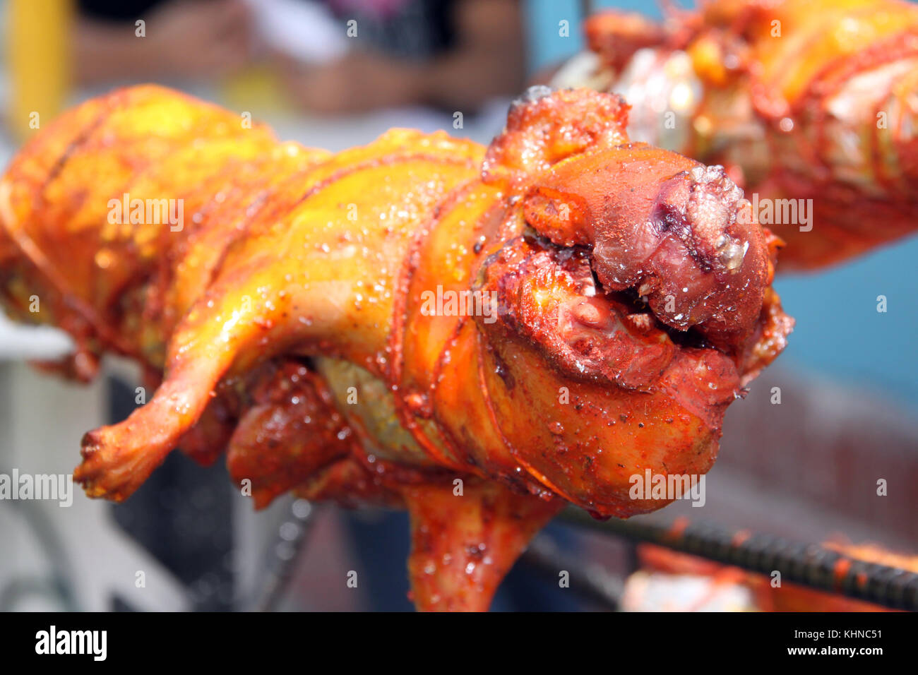 Roasted guinea pig hires stock photography and images Alamy