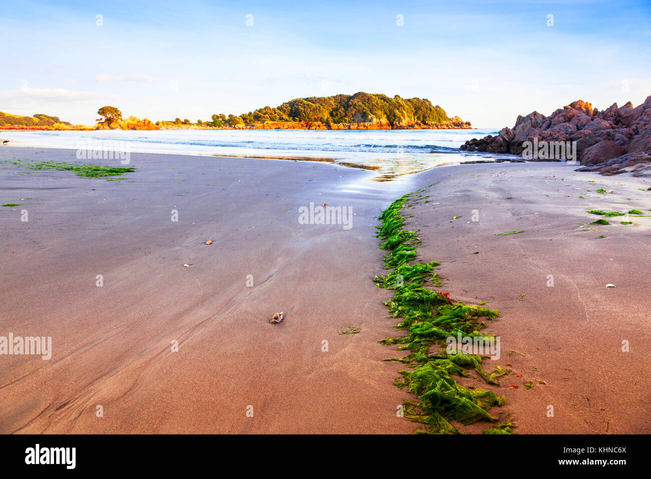 Early morning on the beach at Mount Maunganui, Bay of Plenty, New Zealand.Said to be the best beach in New Zealand Stock Photo