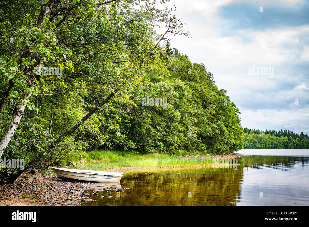 Boat at a river shore surrounded by a forest with green trees in a calm ...