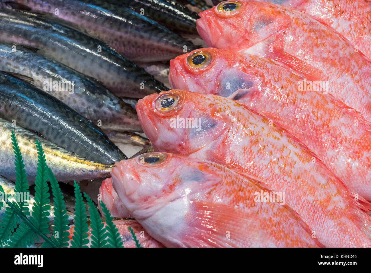 Fresh fish for sale at a market in Madrid, Spain Stock Photo Alamy
