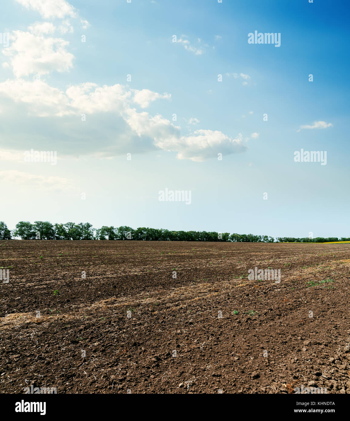 arable soil after harvesting and clouds in blue sky Stock Photo - Alamy