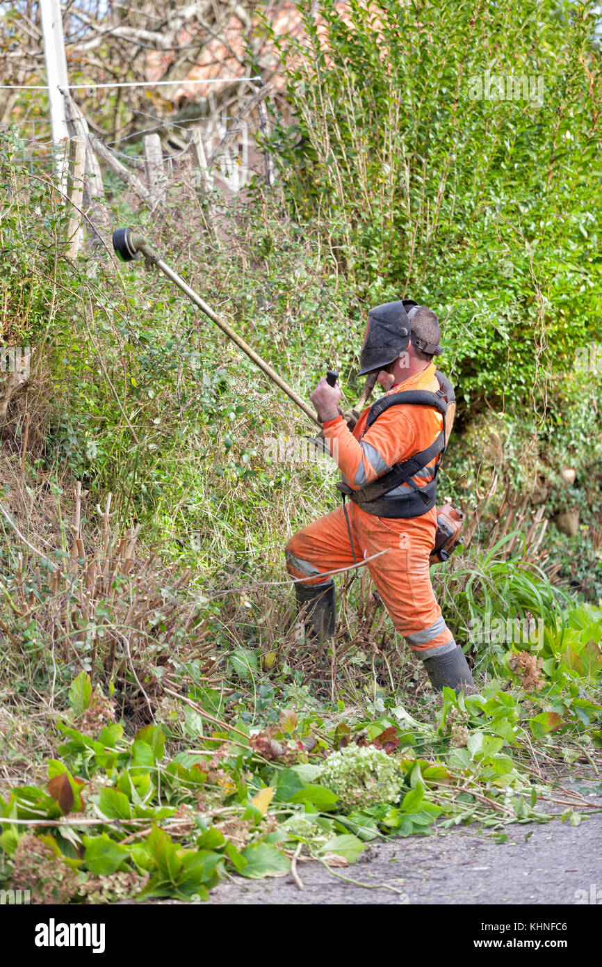 A worker performs brush cleaning tasks with a brushcutter. Stock Photo
