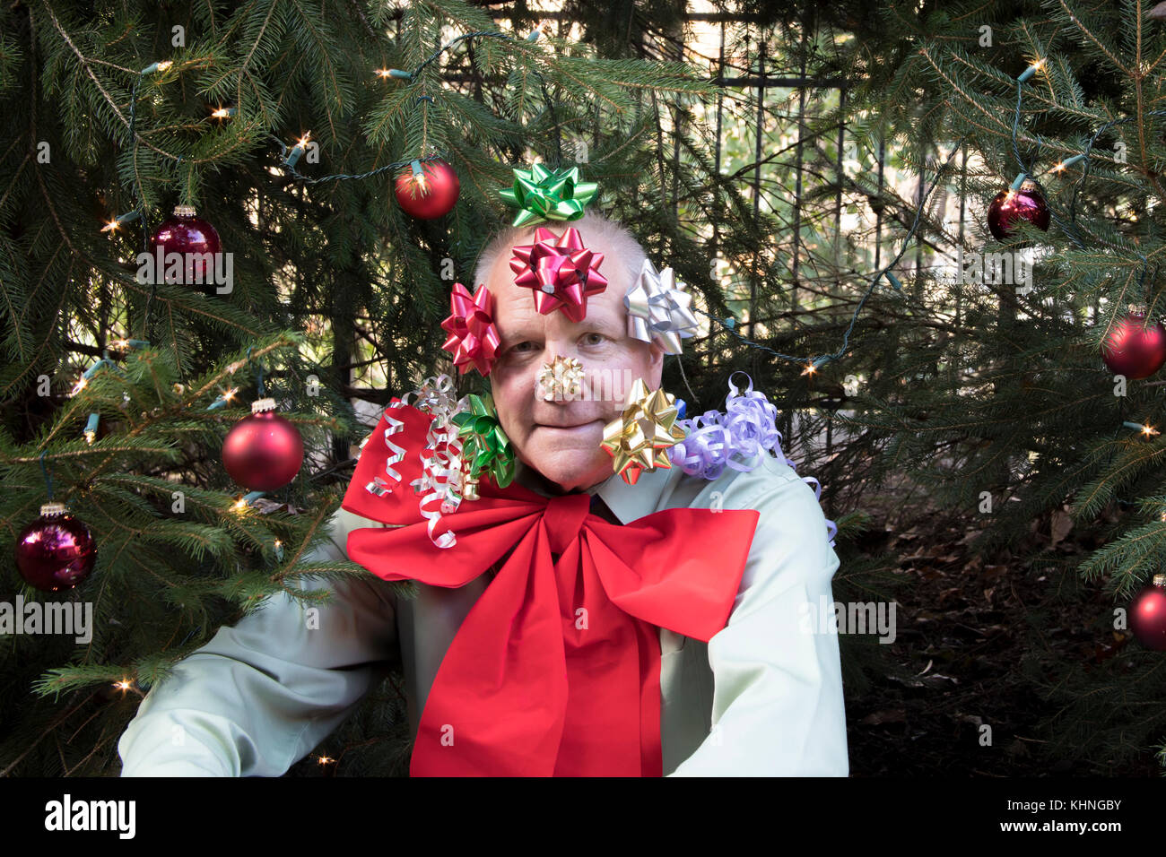 Man covered with Christmas bows sitting under pine trees decorated with lights and red balls. Stock Photo