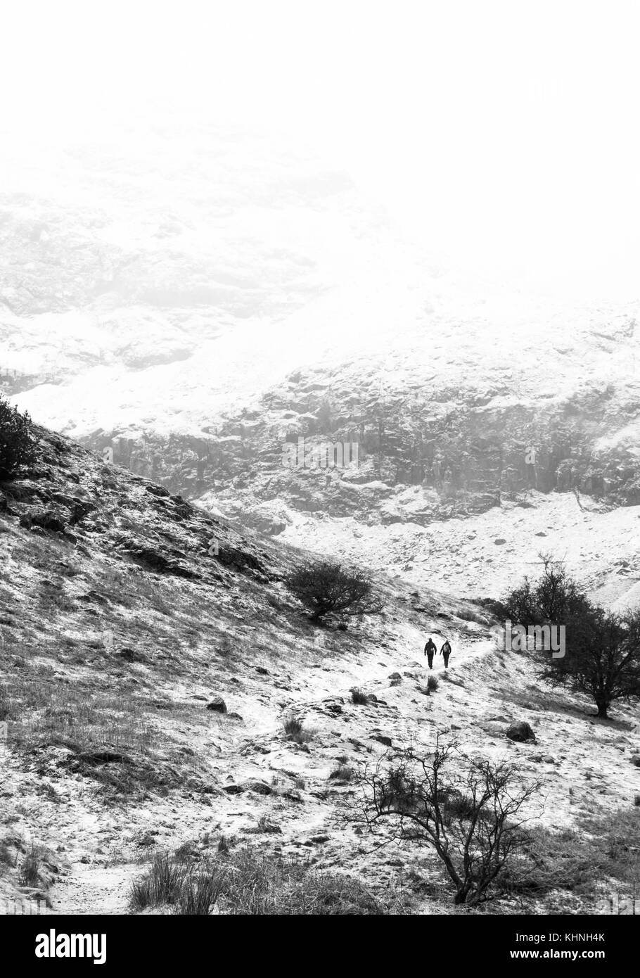 A black and white photo of a couple going up a snow-covered mountain following a track past little trees. Shot on the Old man of Contiston in Cumbria. Stock Photo