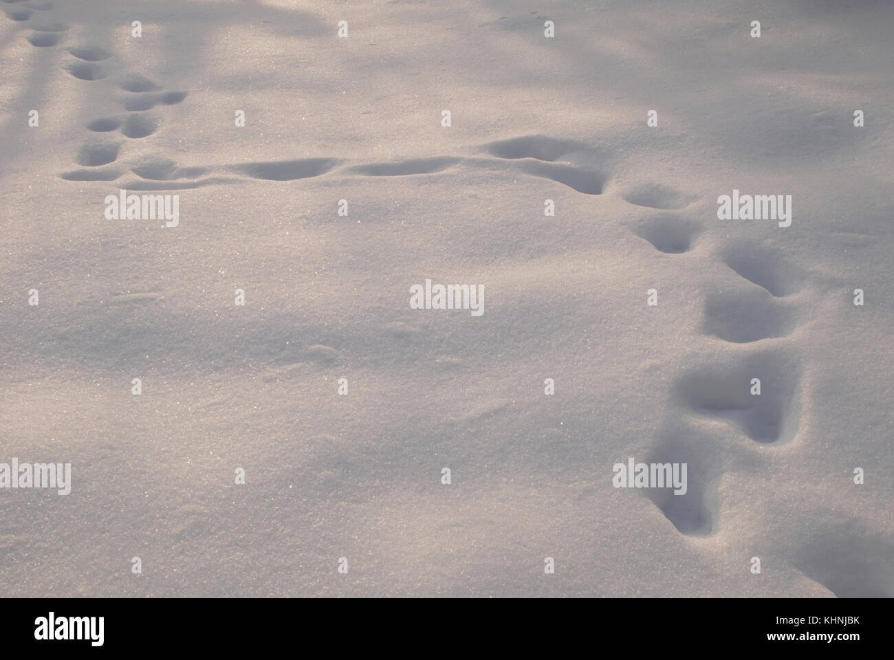 Traces in the snow. Winter background Stock Photo - Alamy