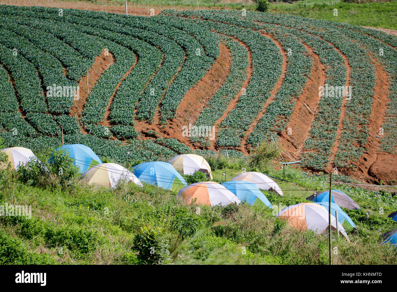Tourist tents in camp among meadow on the mountain Stock Photo - Alamy