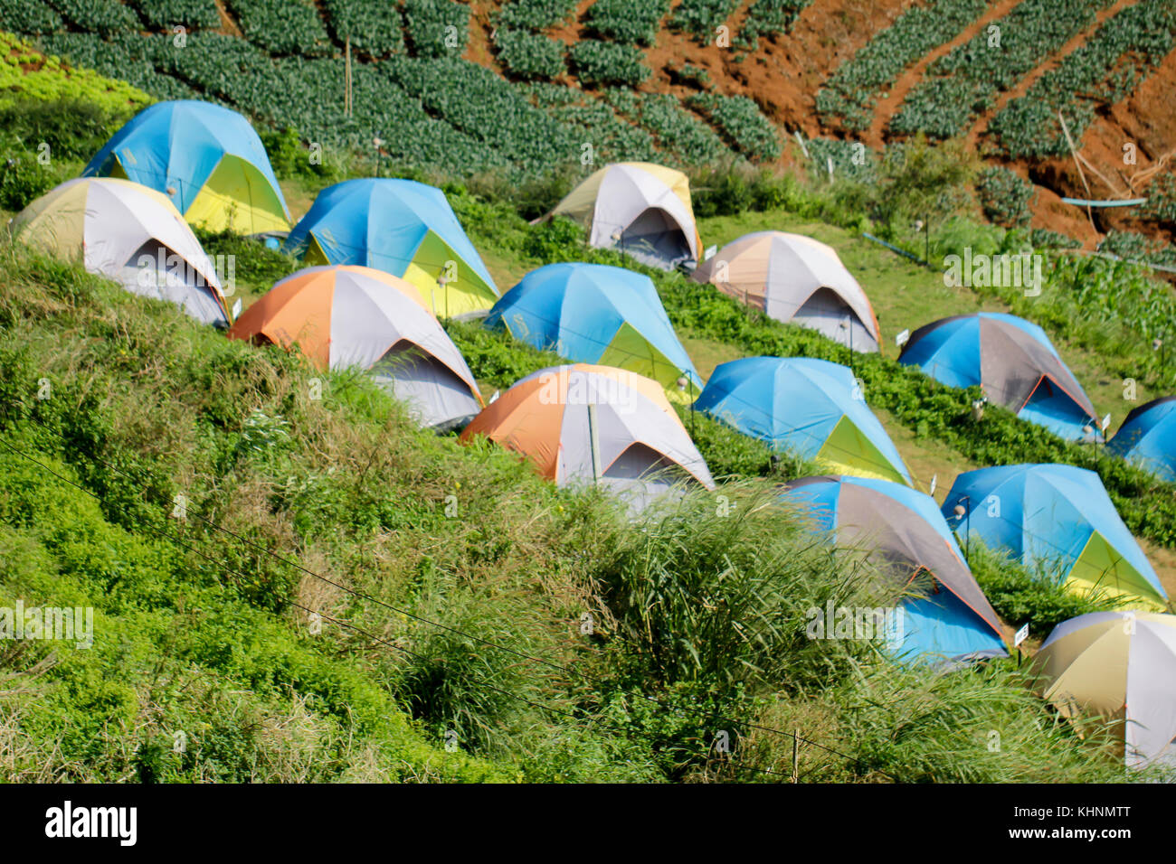 Tourist tents in camp among meadow on the mountain Stock Photo - Alamy