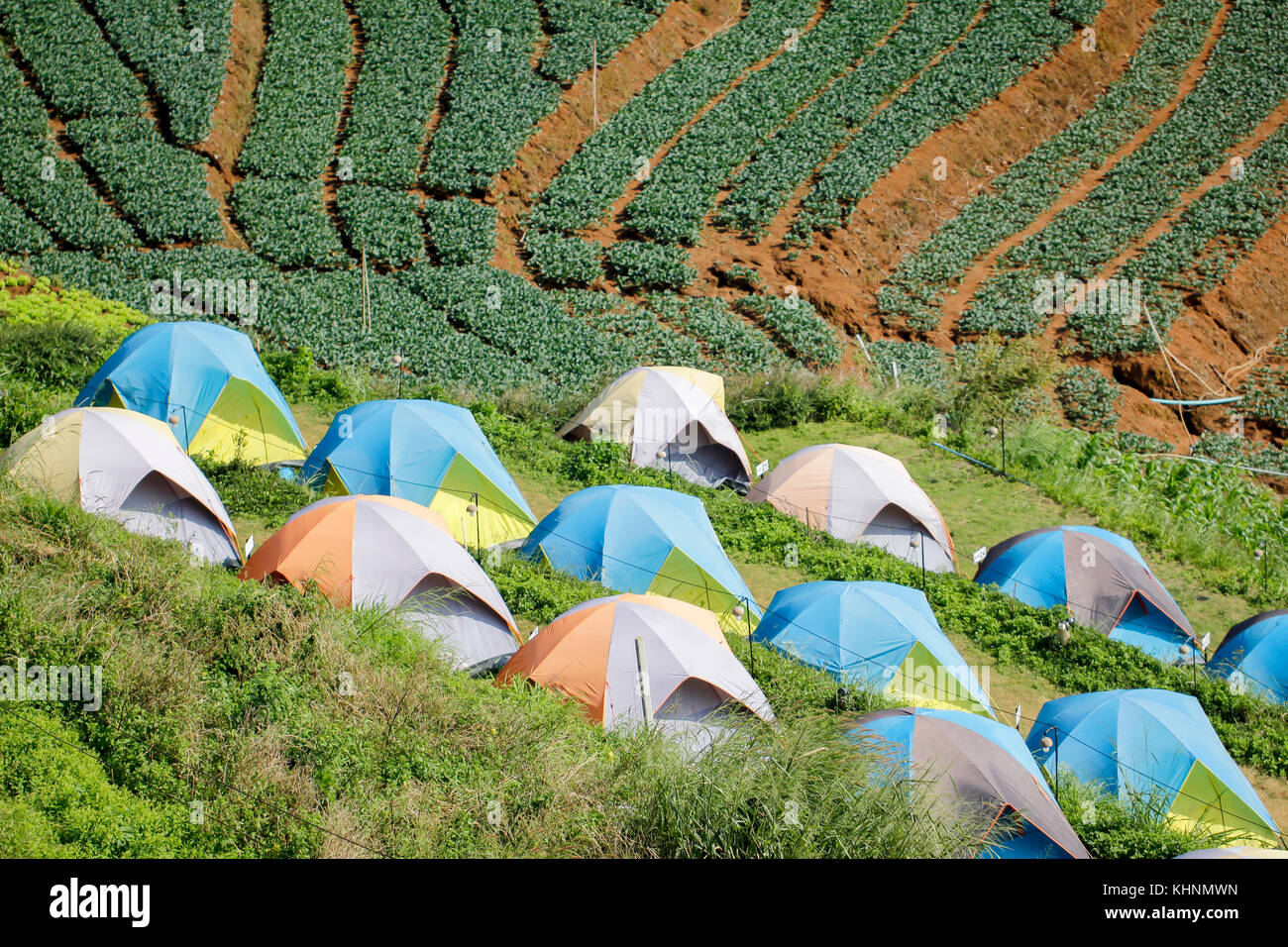 Tourist tents in camp among meadow on the mountain Stock Photo - Alamy