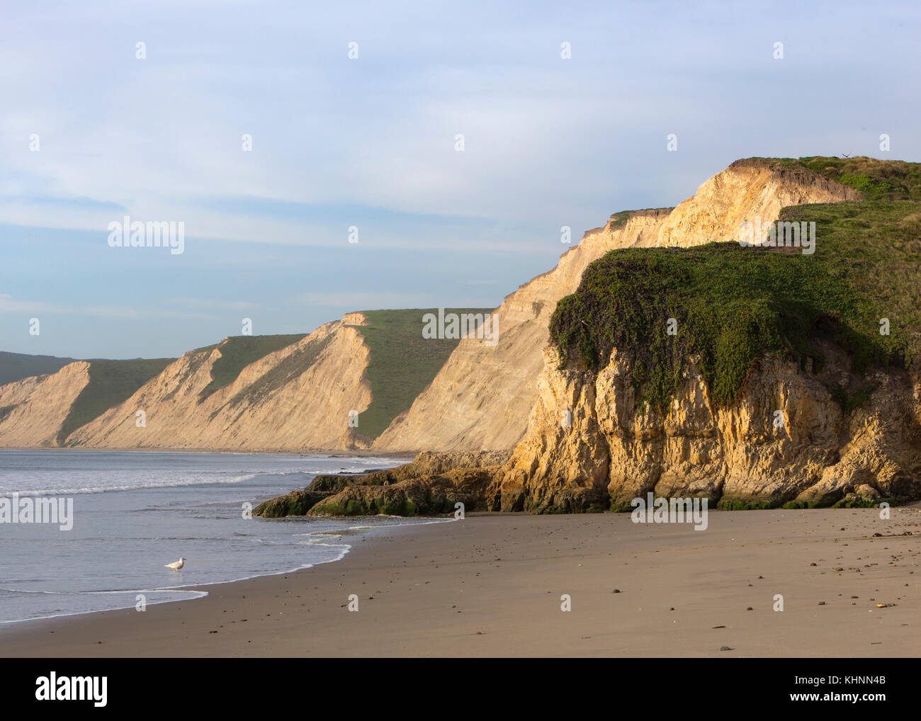 Coastal cliffs, Point Reyes National Seashore, California Stock Photo ...