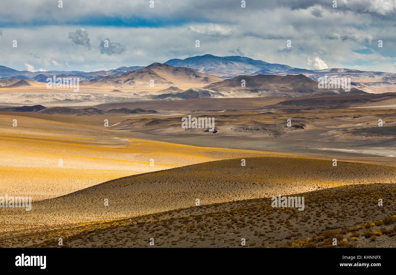 Volcanoes and lava fields in puna, Catamarca, Argentina Stock Photo Alamy