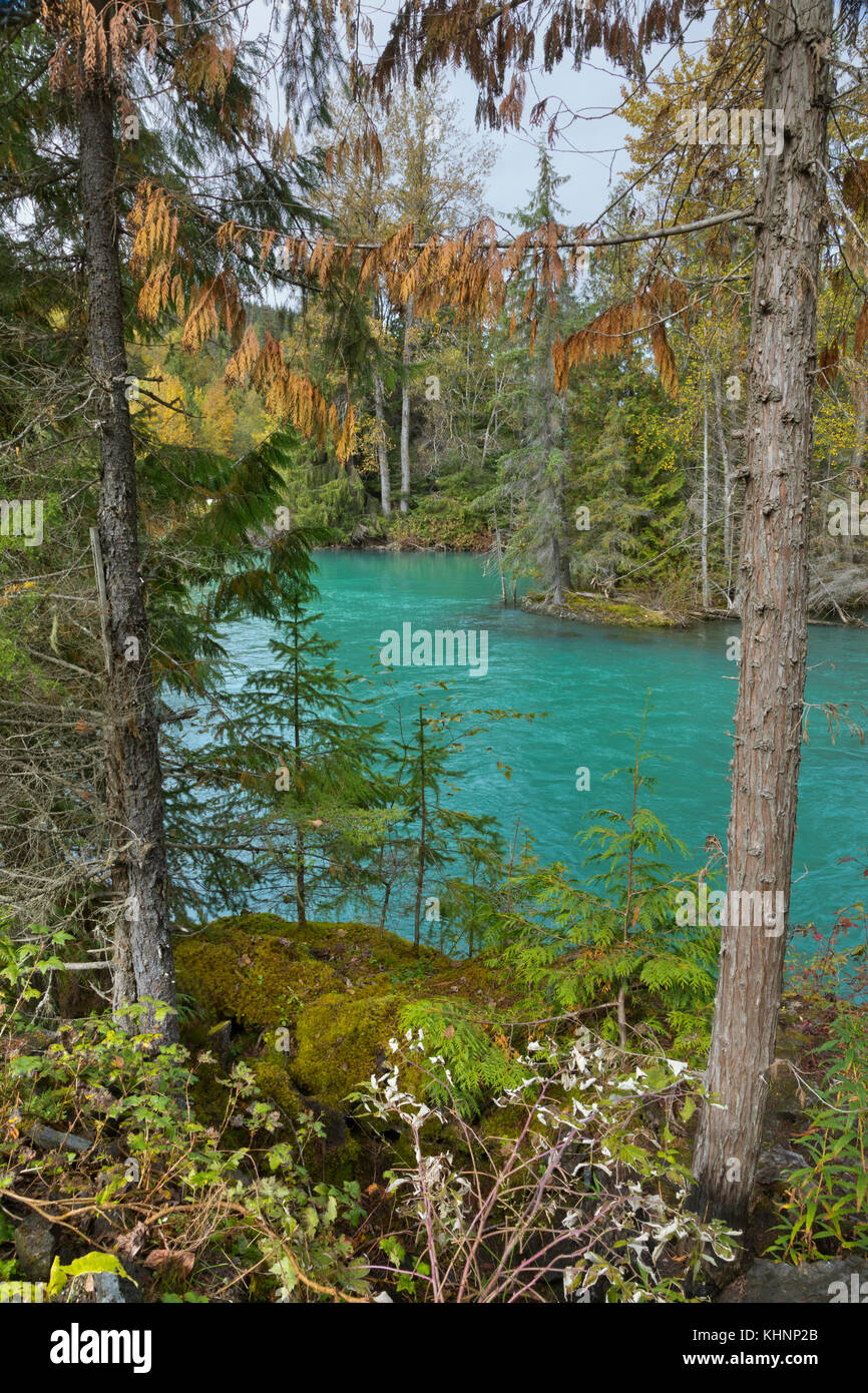 "Glacial river flowing through forest, Kitsumcalum River, Dease Lake Highway, British Columbia