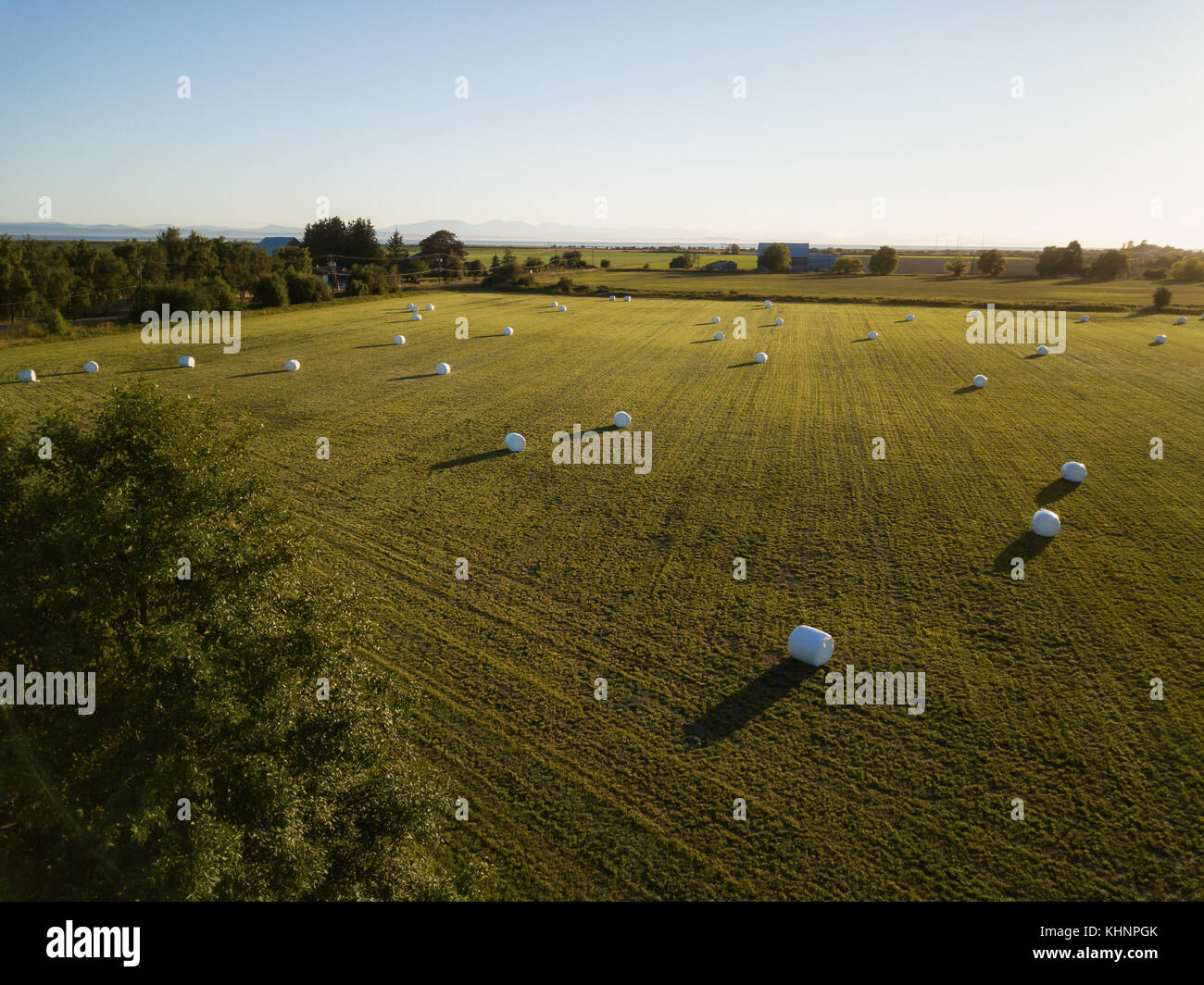 Aerial view of the farm fields with hay bales during a summer sunset