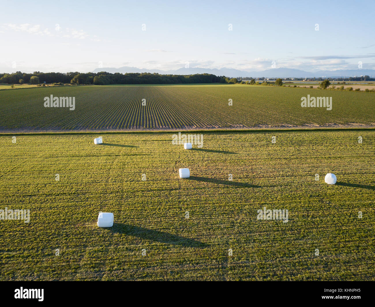 Aerial view of the farm fields with hay bales during a summer sunset