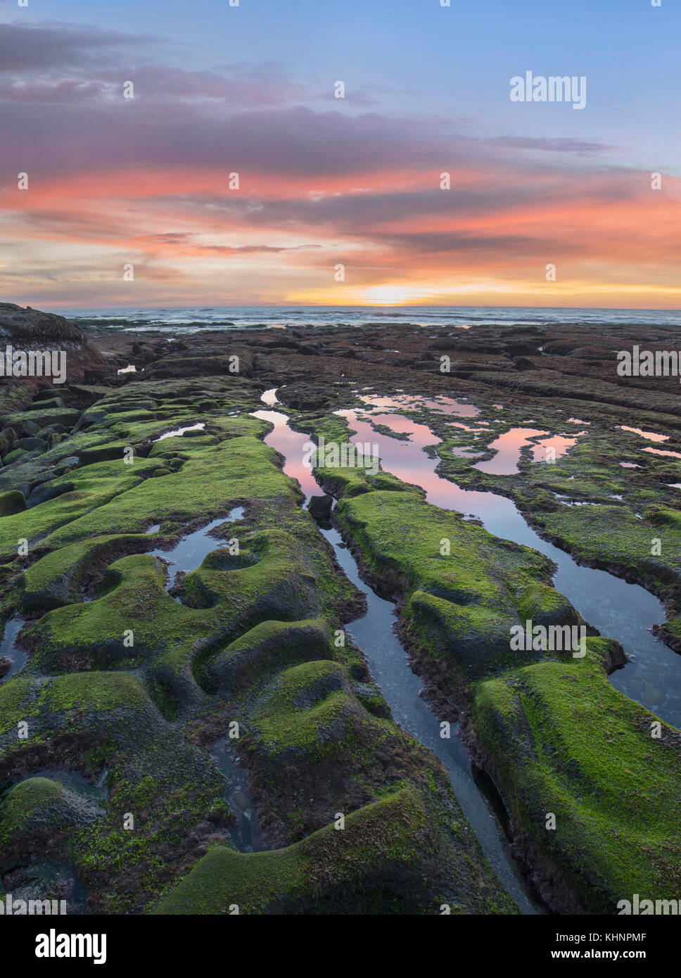 Intertidal zone at low tide at sunset, La Jolla Cove, San Diego