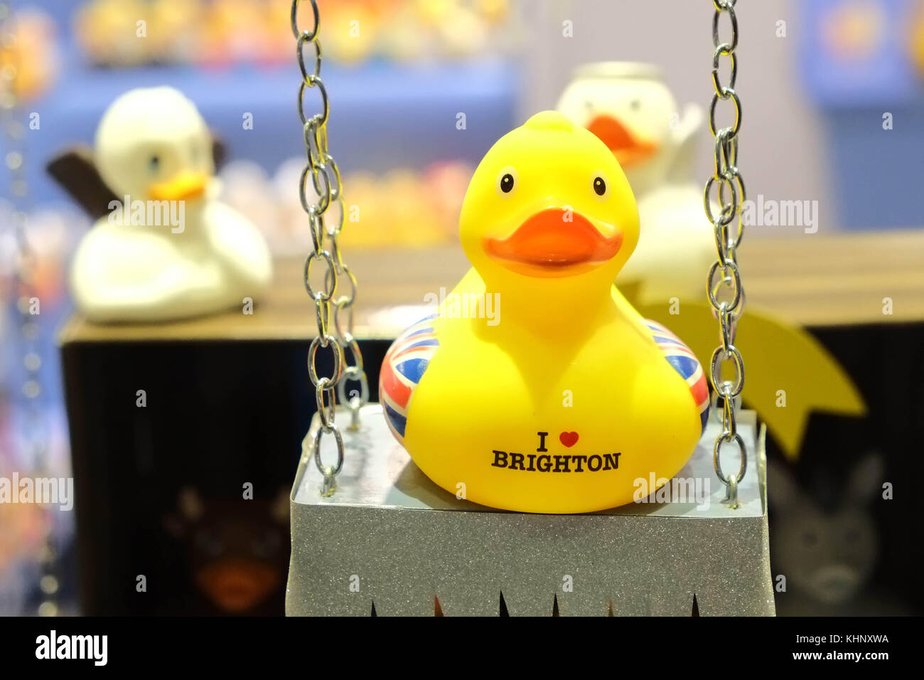 The Duck House in Meeting House Lane Brighton which only sells hundreds of different rubber ducks. Stock Photo