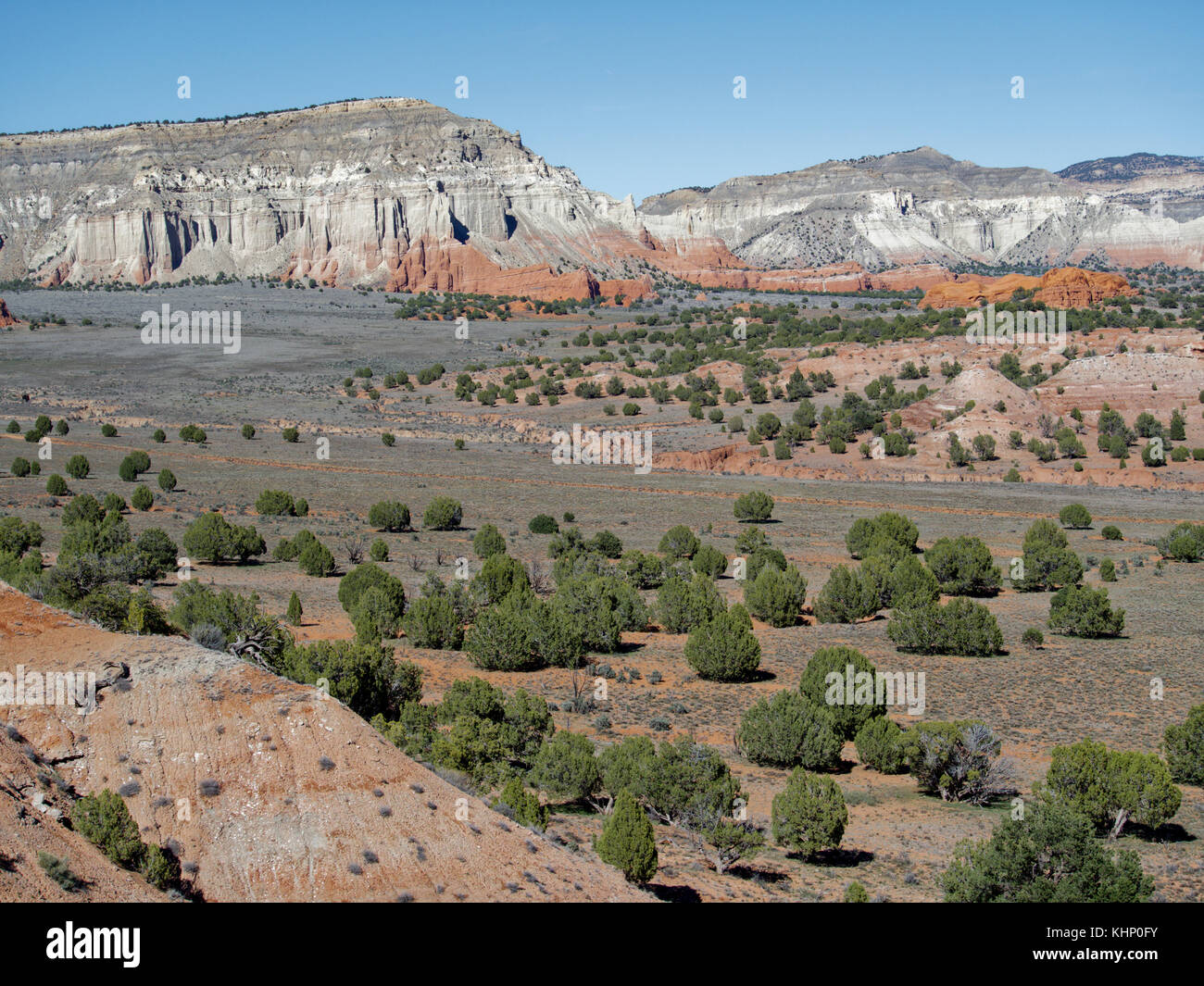 Shrubs in desert, Kodachrome Basin State Park, Utah Stock Photo Alamy