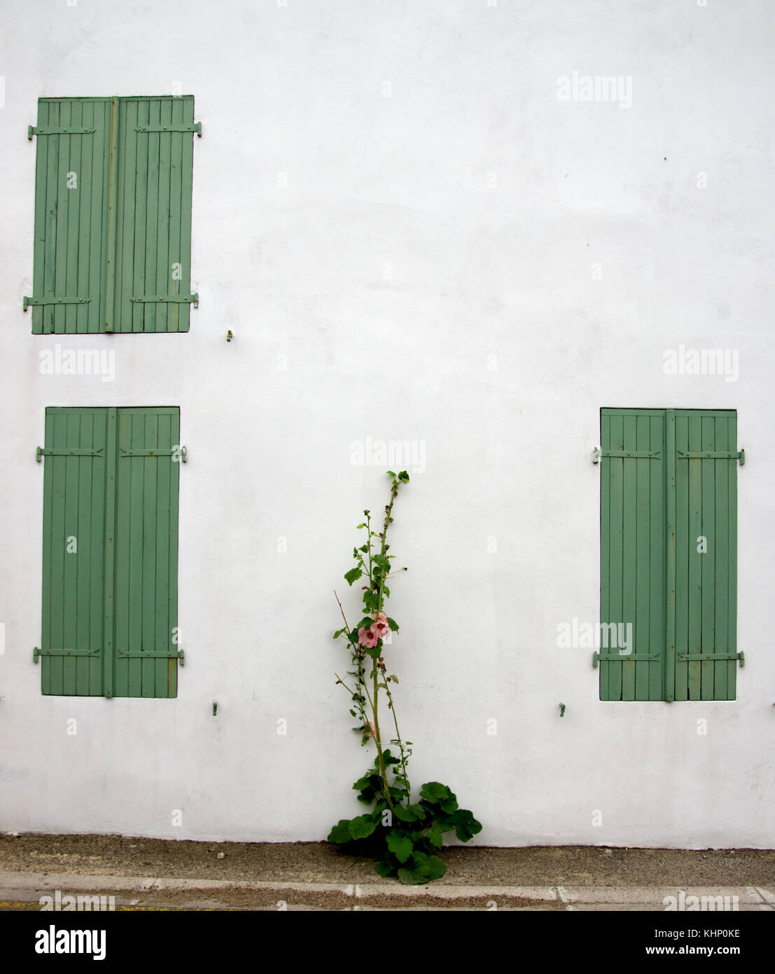 Loix, shutters and hollyhock Stock Photo